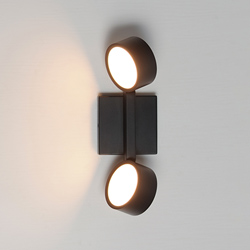 Embrace 2-Light LED Wall Sconce