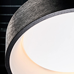 iQ Friends of Hue LED Flush Mount