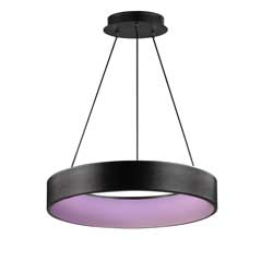 iQ 24" LED Pendant WiZ Color