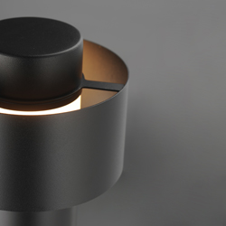 Reveal 12-24V LED Garden Light
