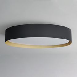 Echo 24" LED Pendant