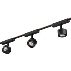 Continuum Track Spot Light - 2"